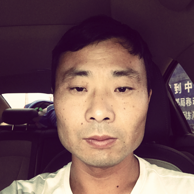 耍酷蹁跹草丛的照片