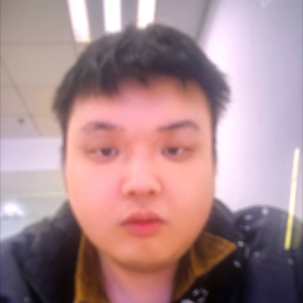 偏爱枕惊鸿的照片