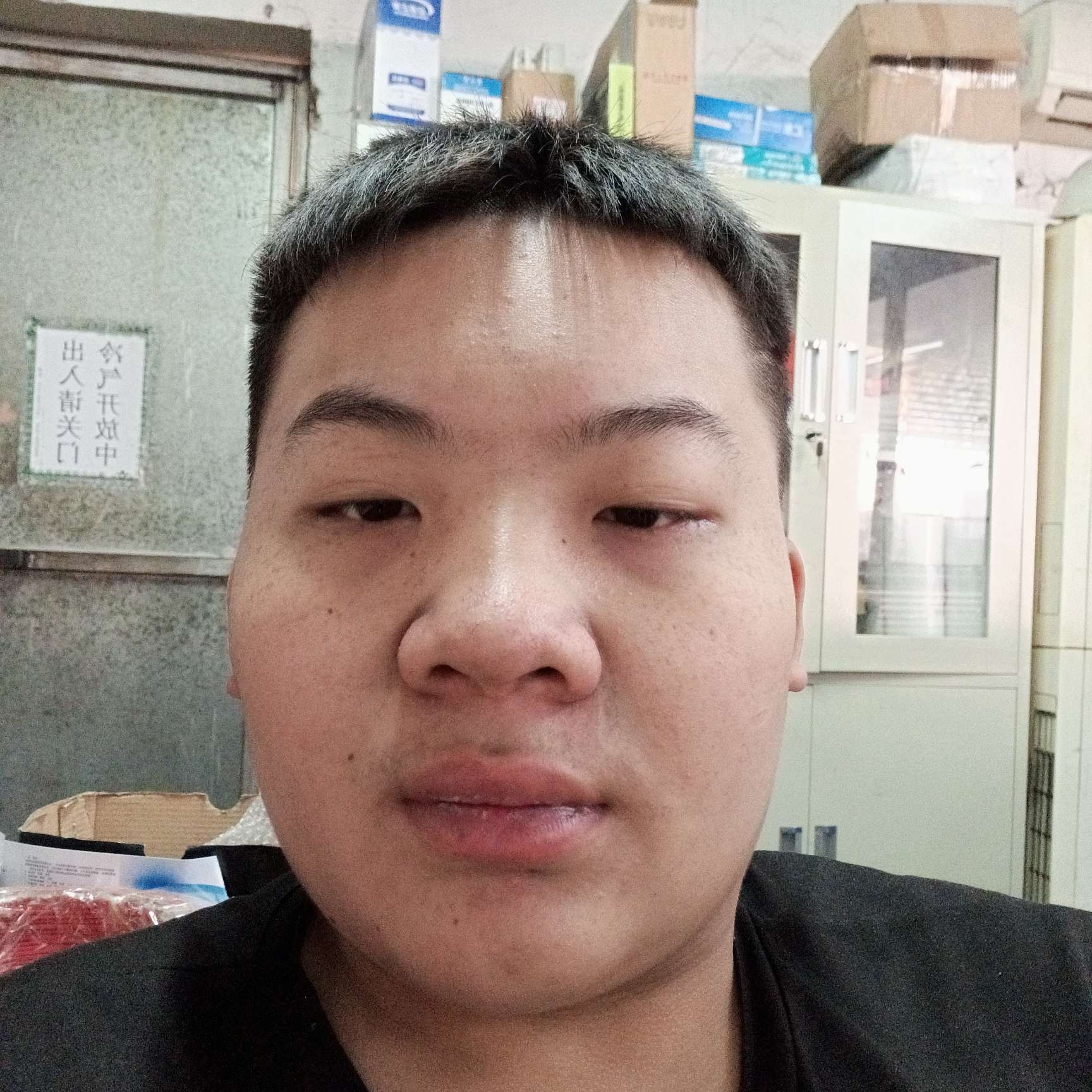芹菜改变害羞的照片
