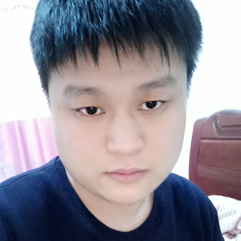 谦让小懒猪的照片