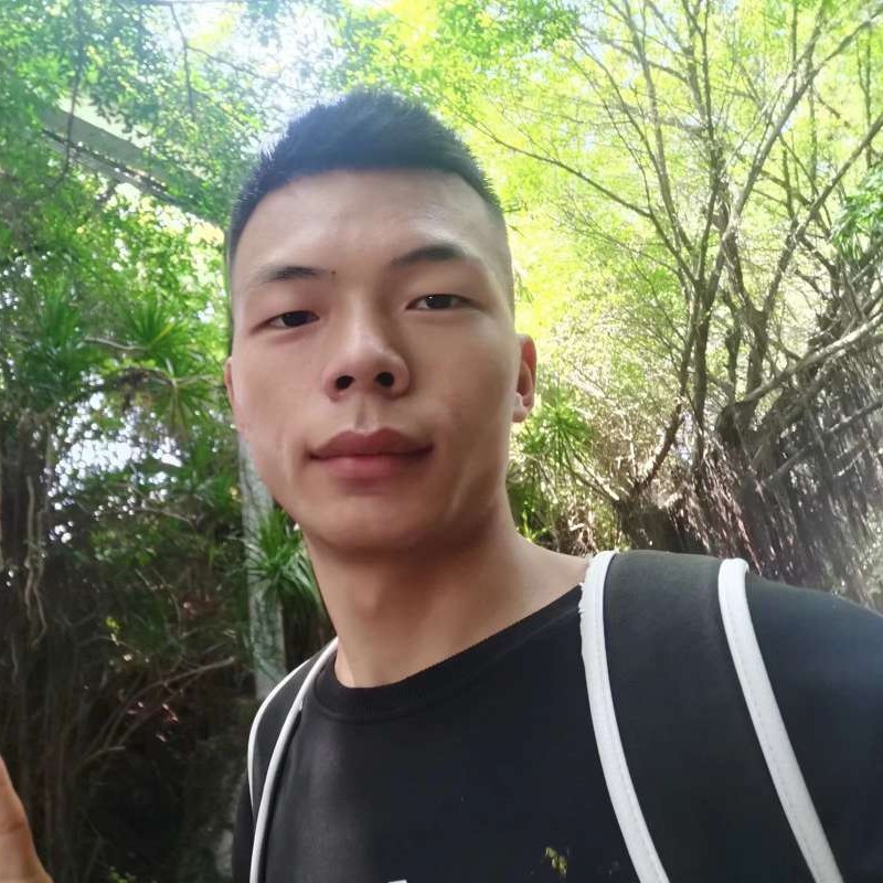花瓣用花痴的照片