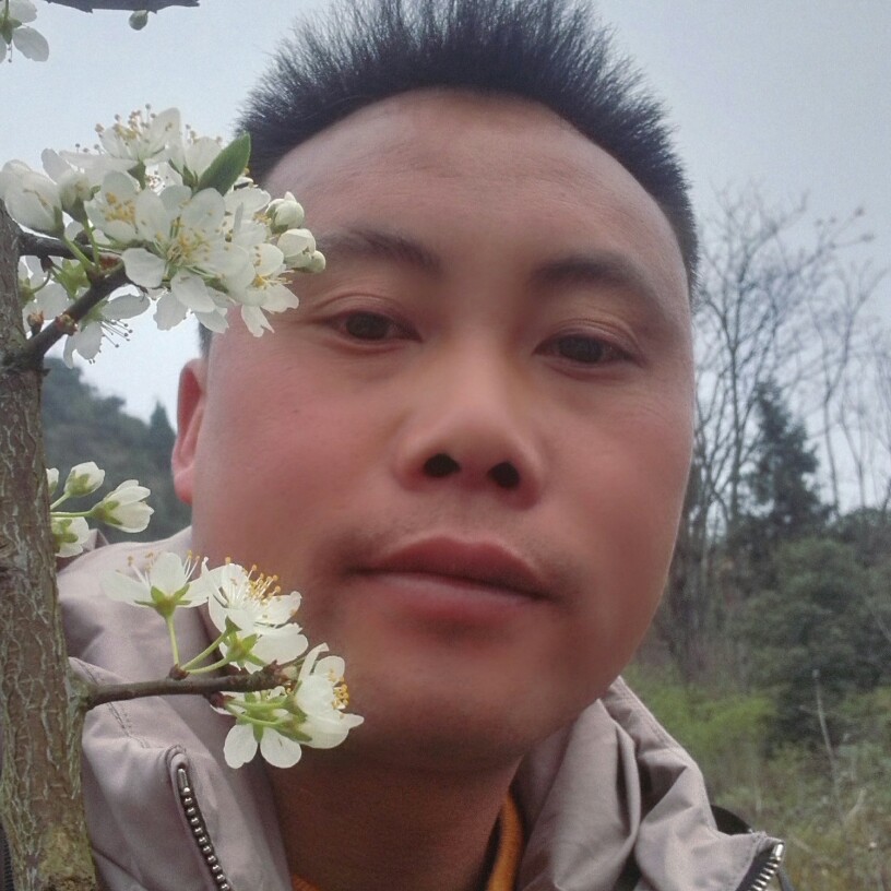 风语言的照片