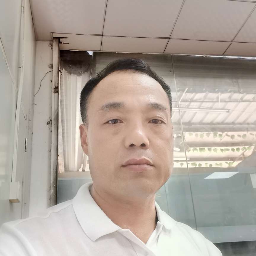 鼠标浅吻追寻的照片