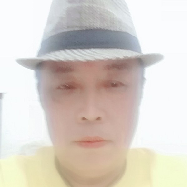 真淳的黄蜂的照片