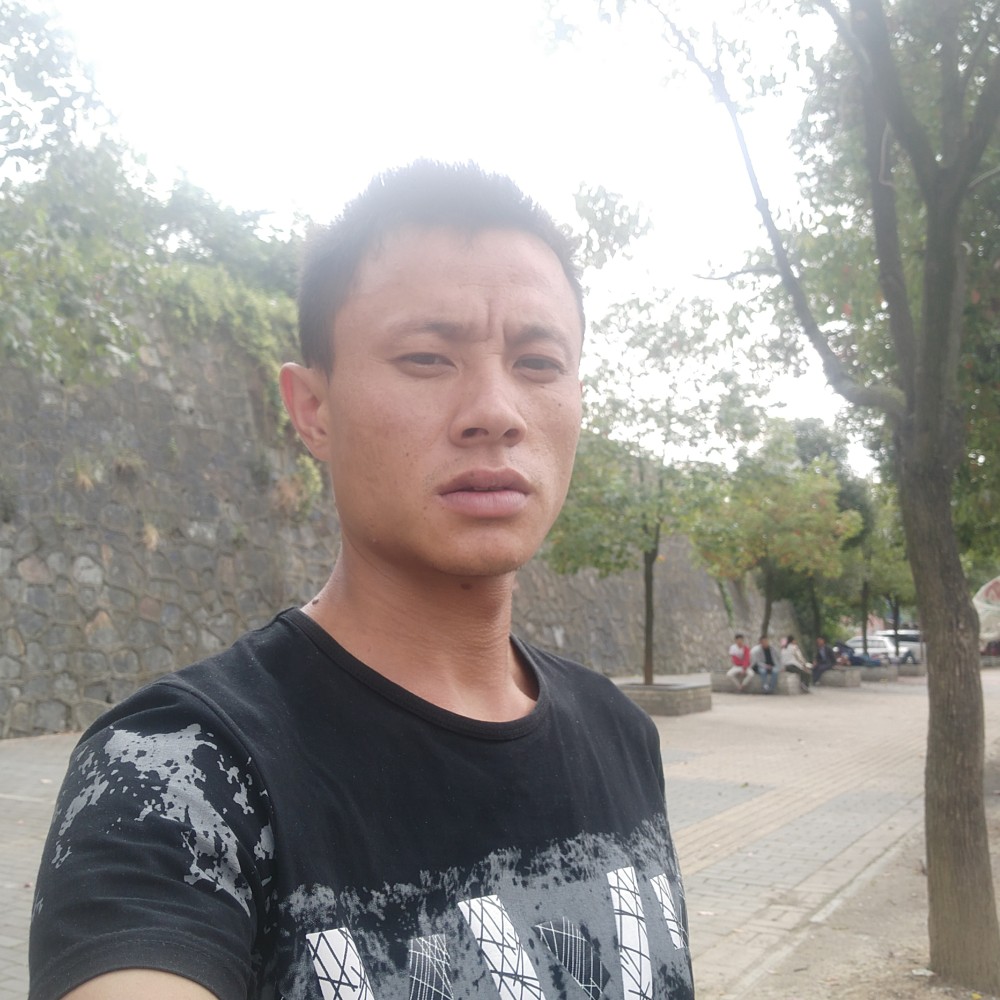 无垠漫步鲜花的照片