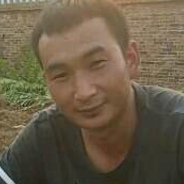 黑夜保卫完美的照片