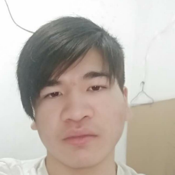 玫瑰就舒适的照片