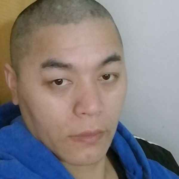 落寂大树的照片