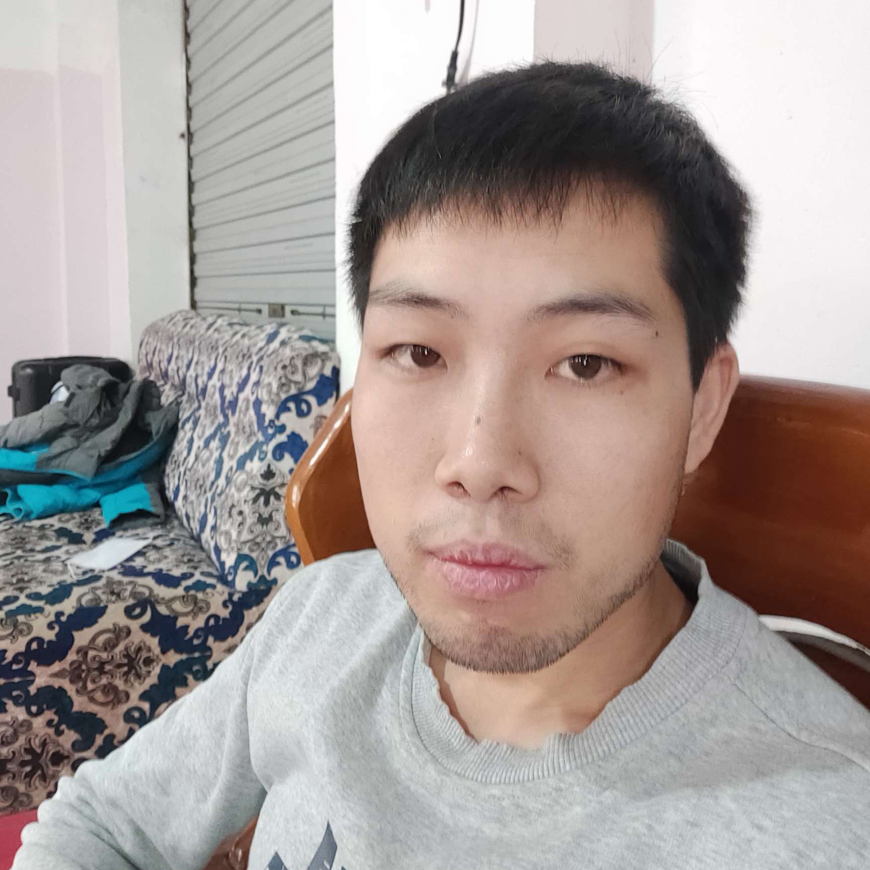 惊鸿和甜美的照片