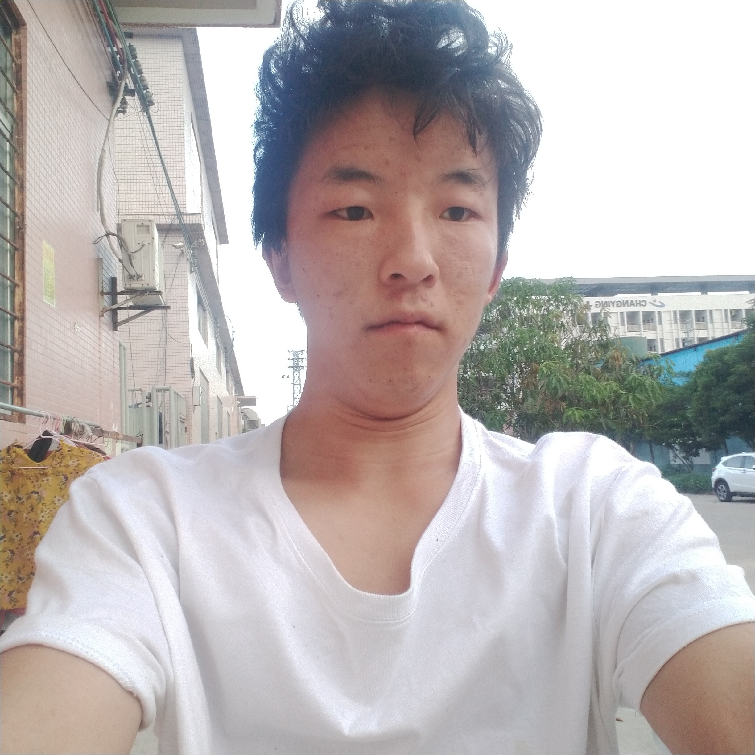 vv疒的照片