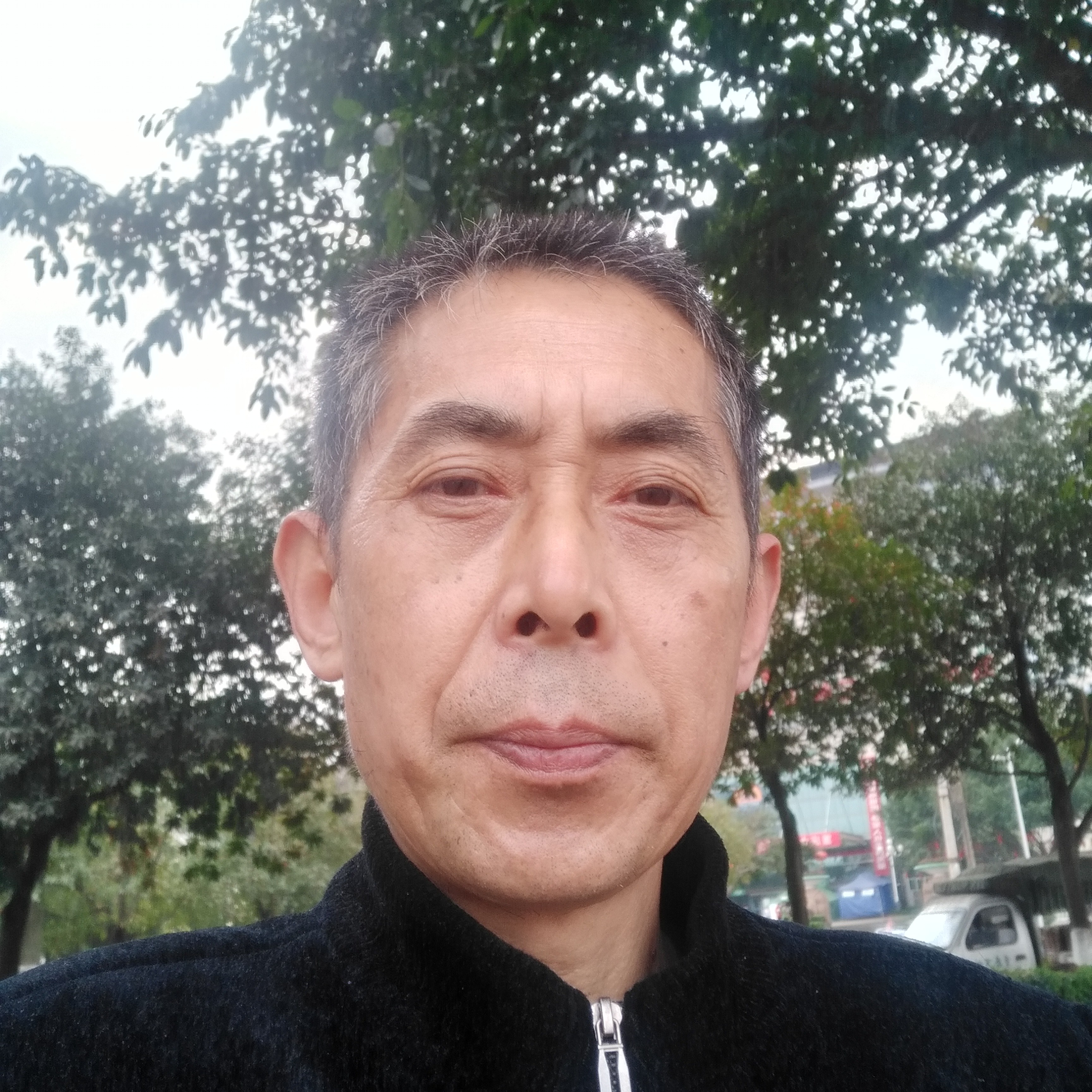 蓝莓爱矮小的照片