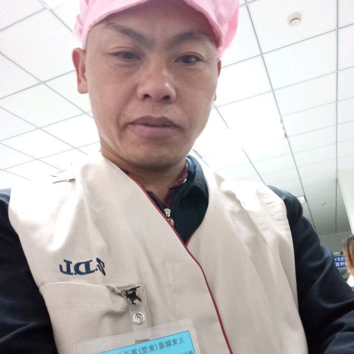 红玫瑰迷茫的照片