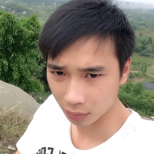 戴眼镜的猫的照片