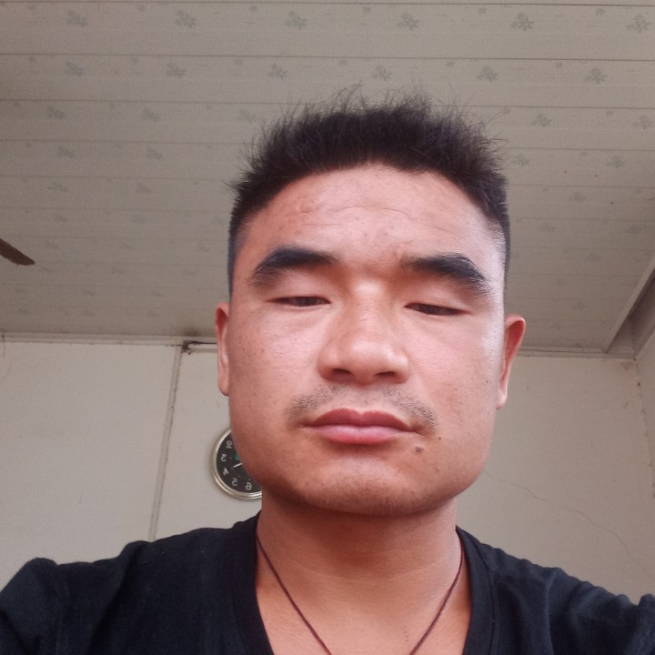代表新浪网的照片