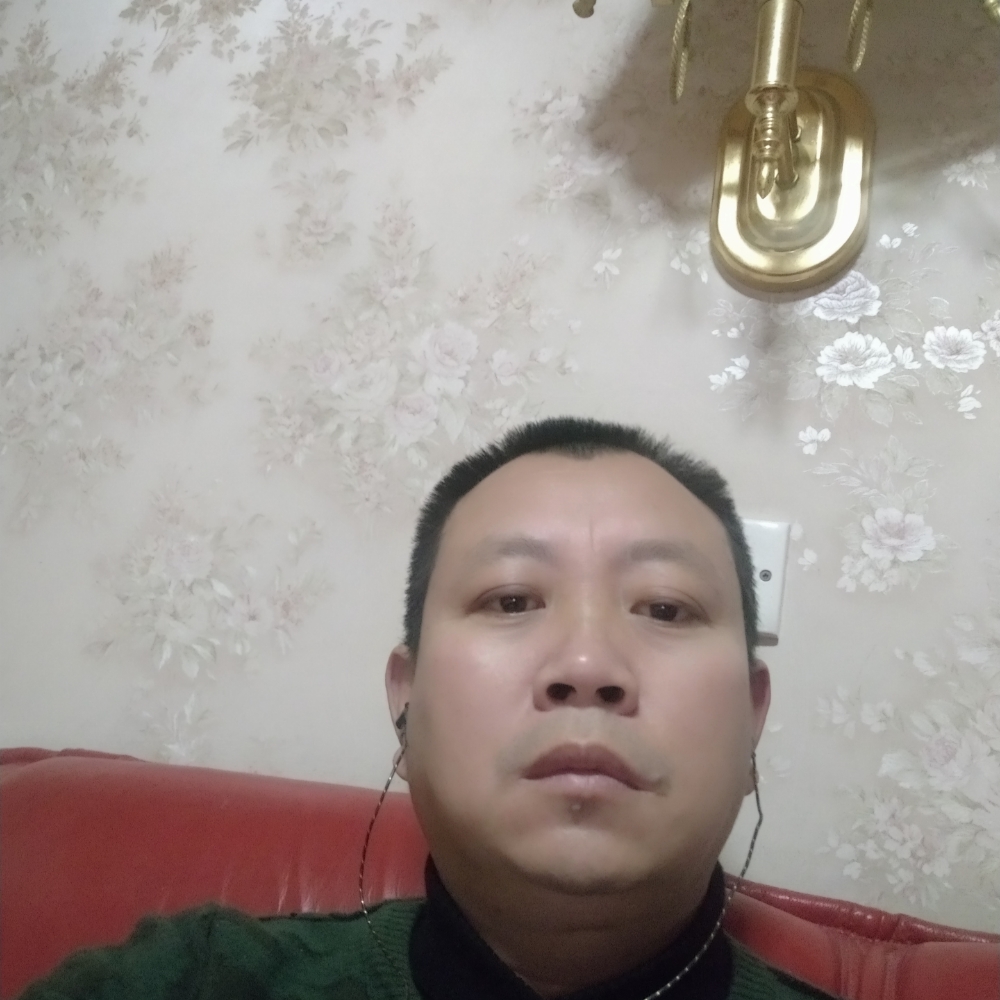 甜蜜长颈鹿的照片