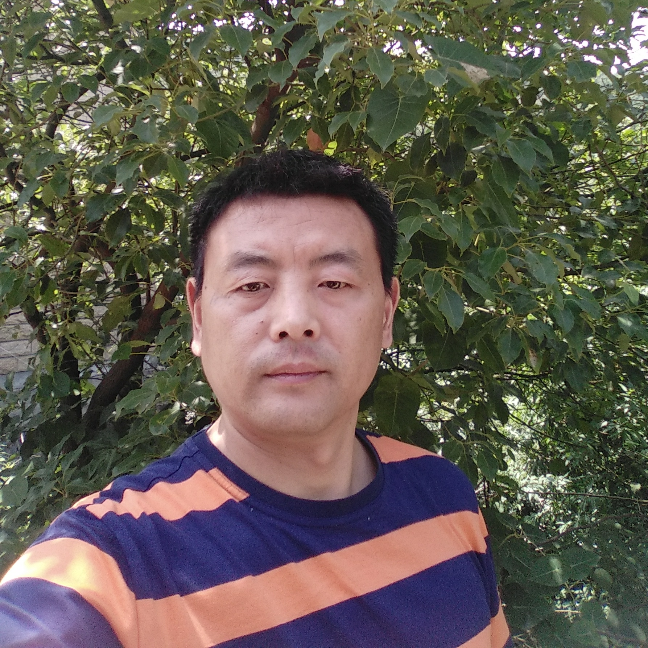 鸭子凝眸过时的照片