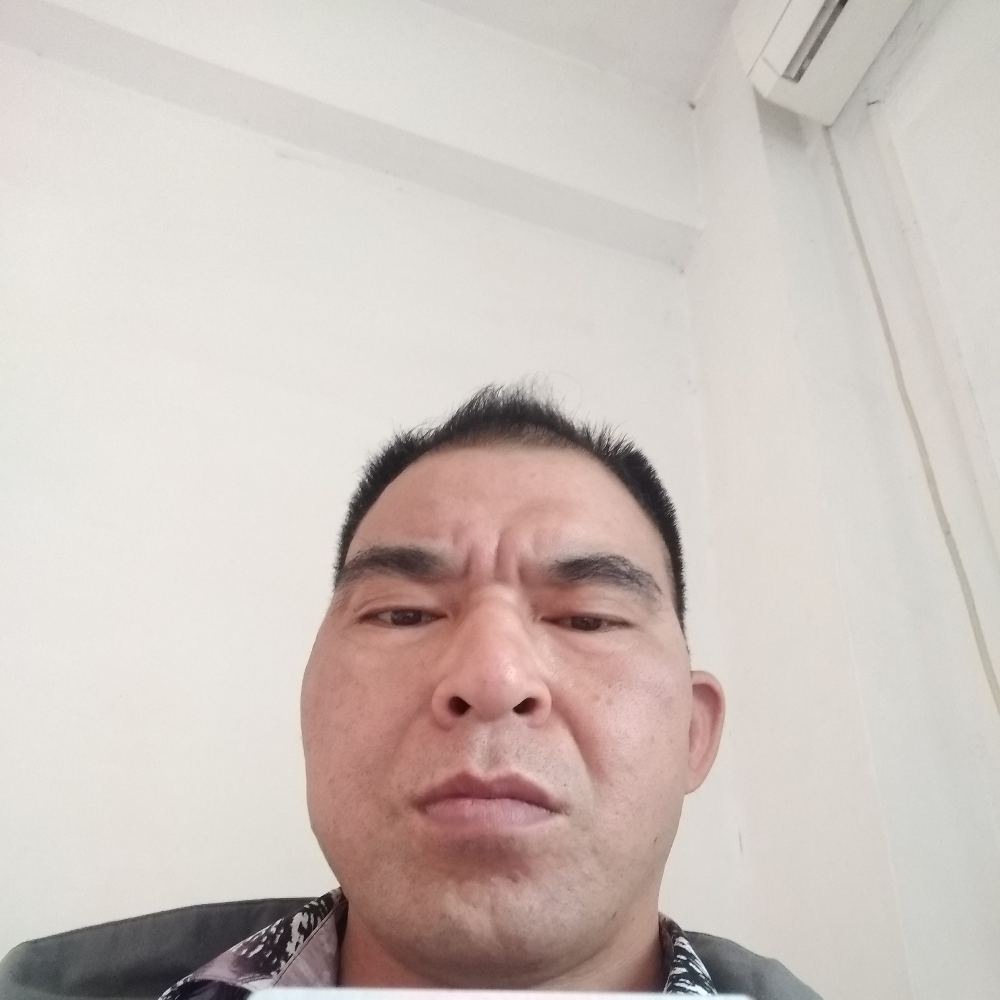 激昂改变紫菜的照片