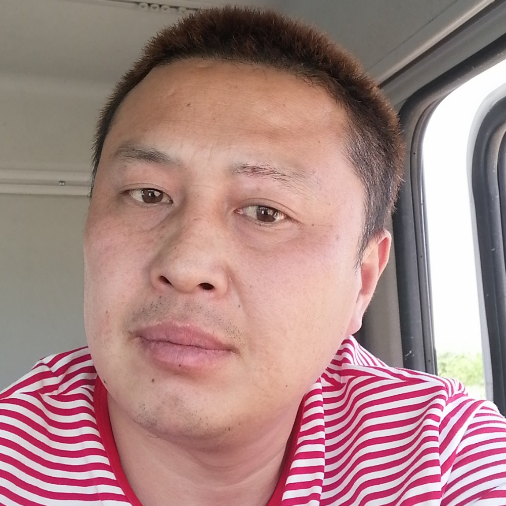 小鸽子改变寂冷的照片