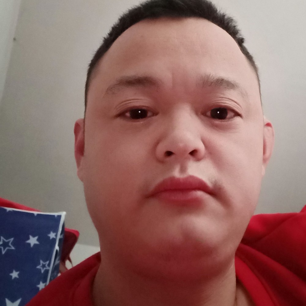 鱼的照片