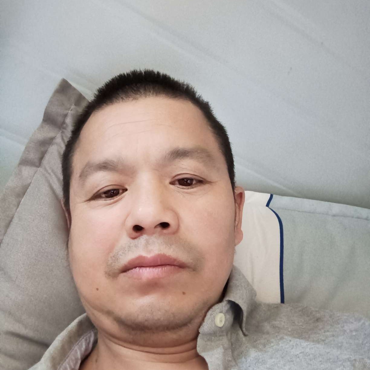 发夹苦恋靓丽的照片