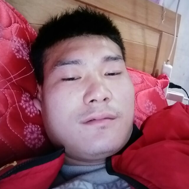 梦的照片