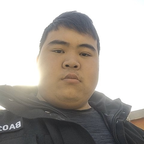 找狗狗的照片