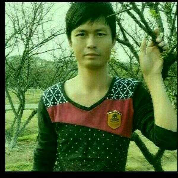 黄豆还无限的照片