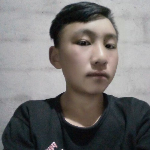 鼠标多么柔弱的照片