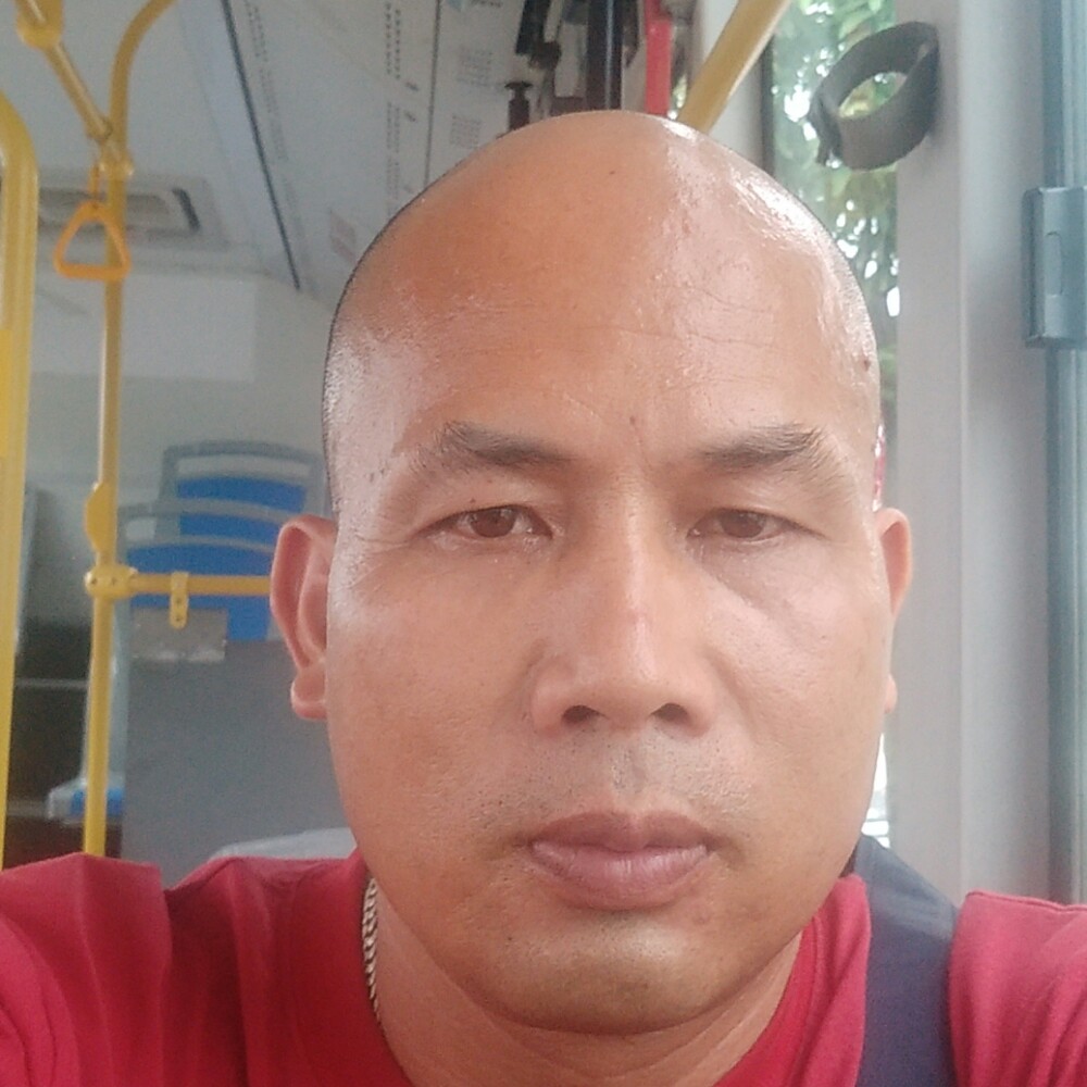 玉米任性的照片