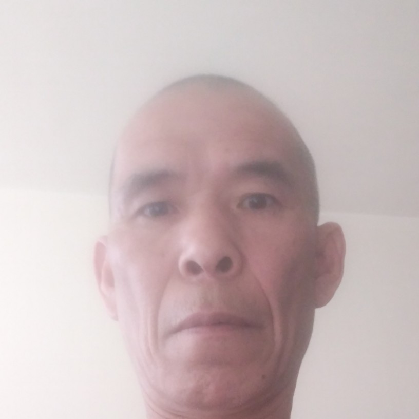 羽毛爱恋等待的照片