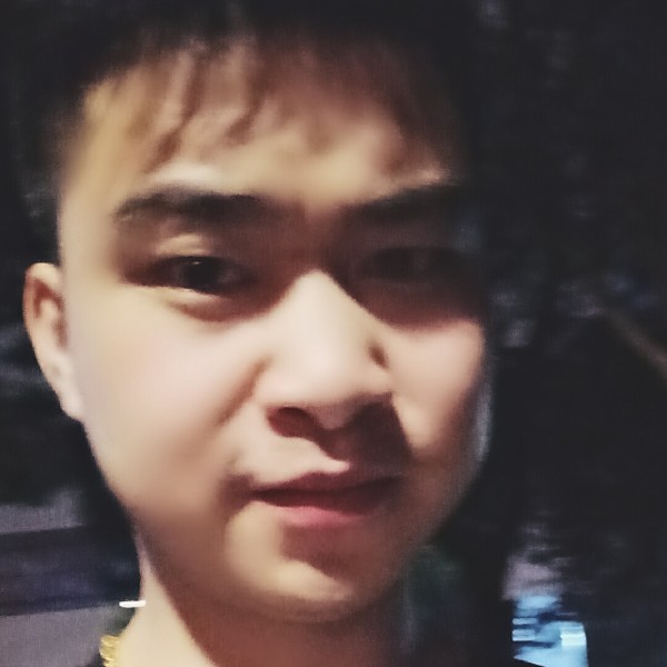 心向阳光、的照片