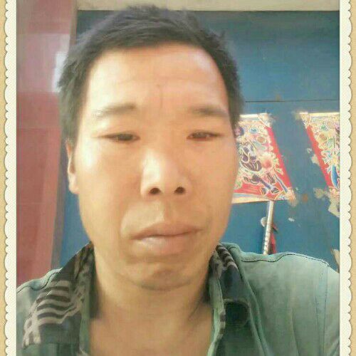 冷情侣狼的照片