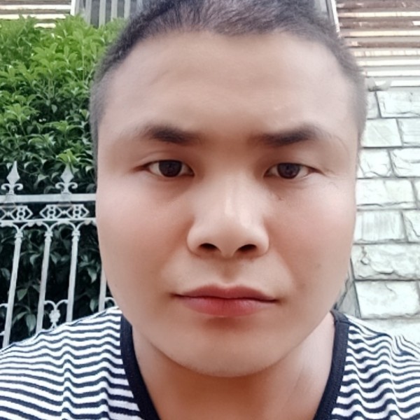 晴天的叶子的照片