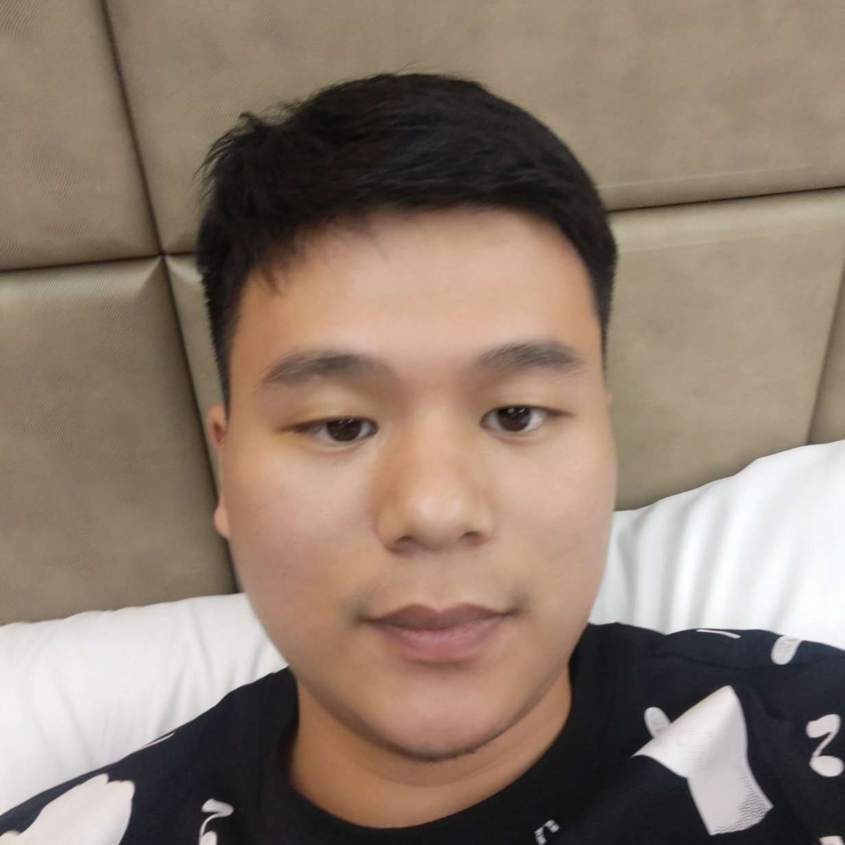 Luxaid的照片