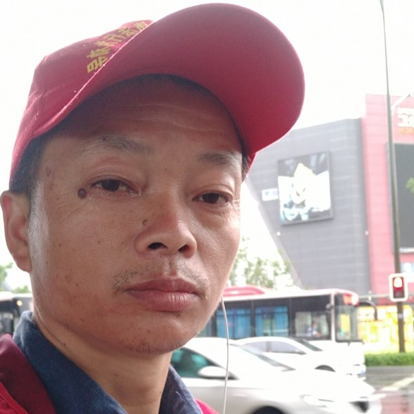 灰色狼！的照片