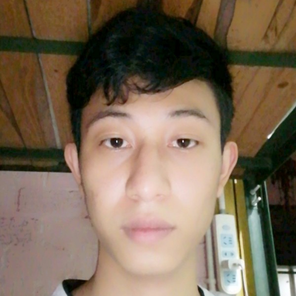 无心相许绿草的照片