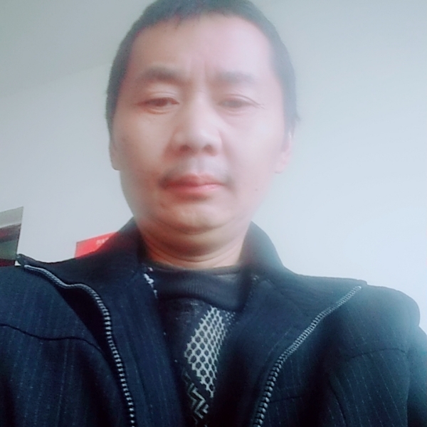 淡定猫咪的照片