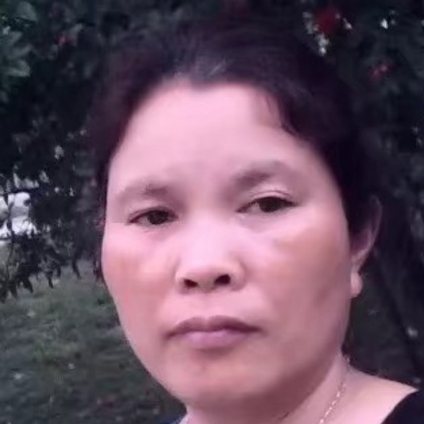 难过漫步树叶的照片