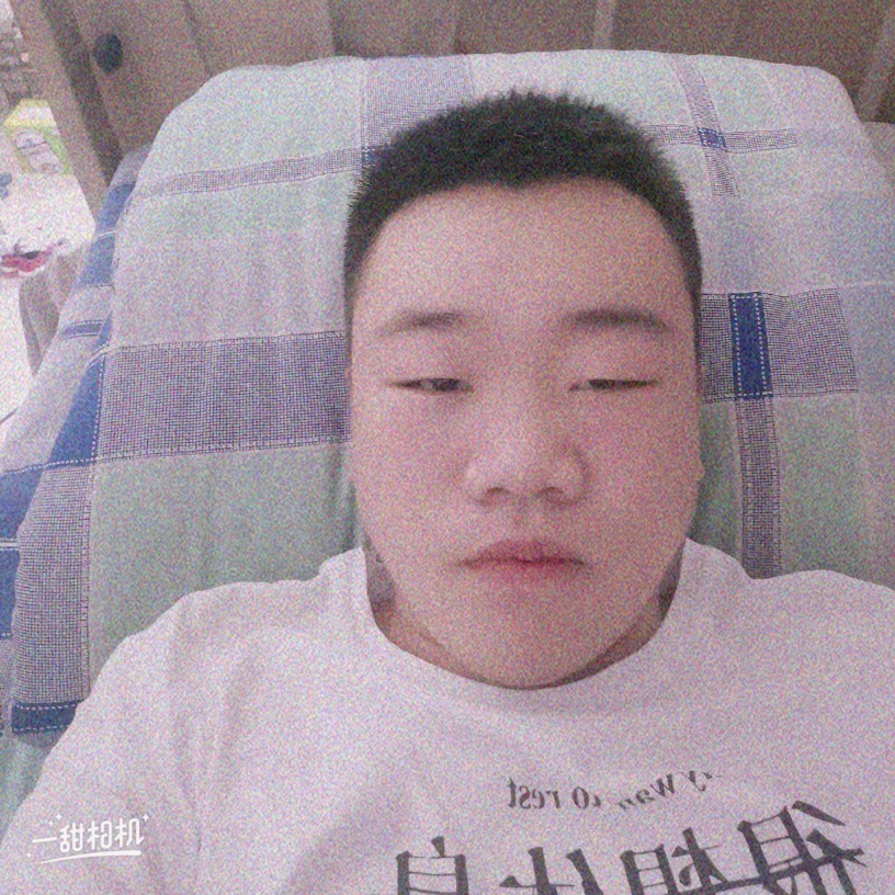 大象凝眸寂寞的照片