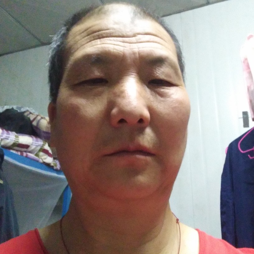 大象追寻的照片