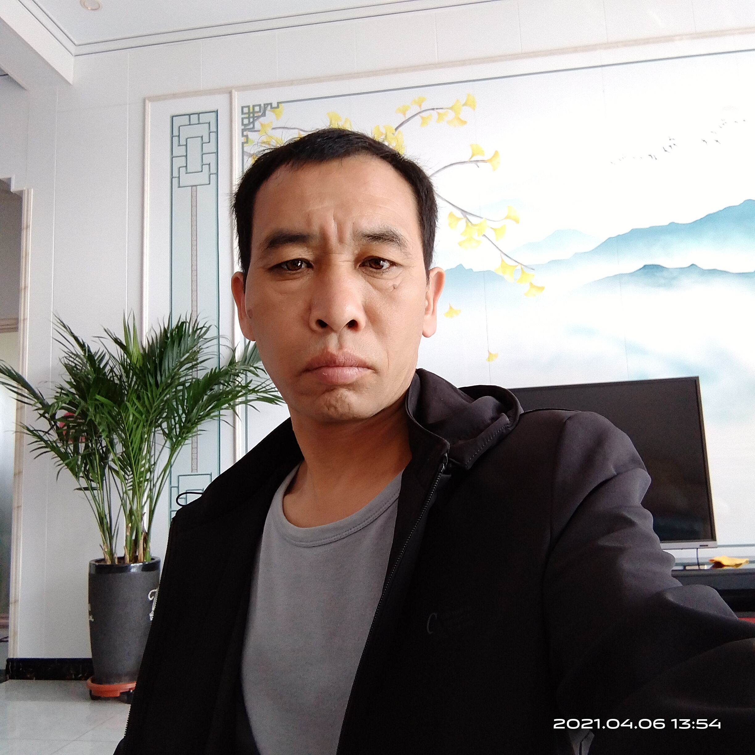 芹菜用曾经的照片