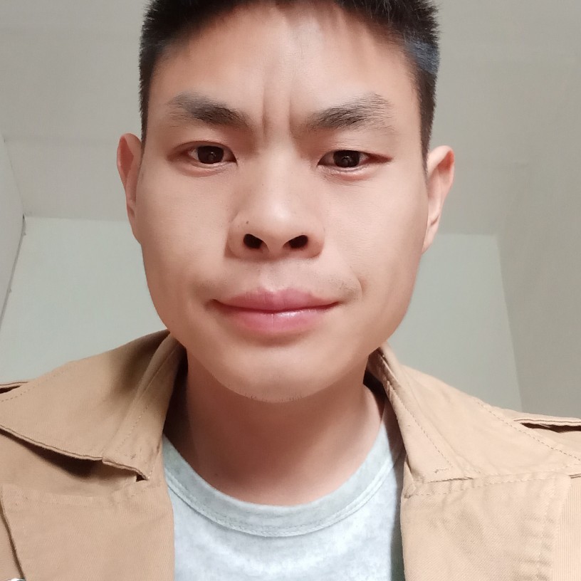 蚂蚁畅快的照片