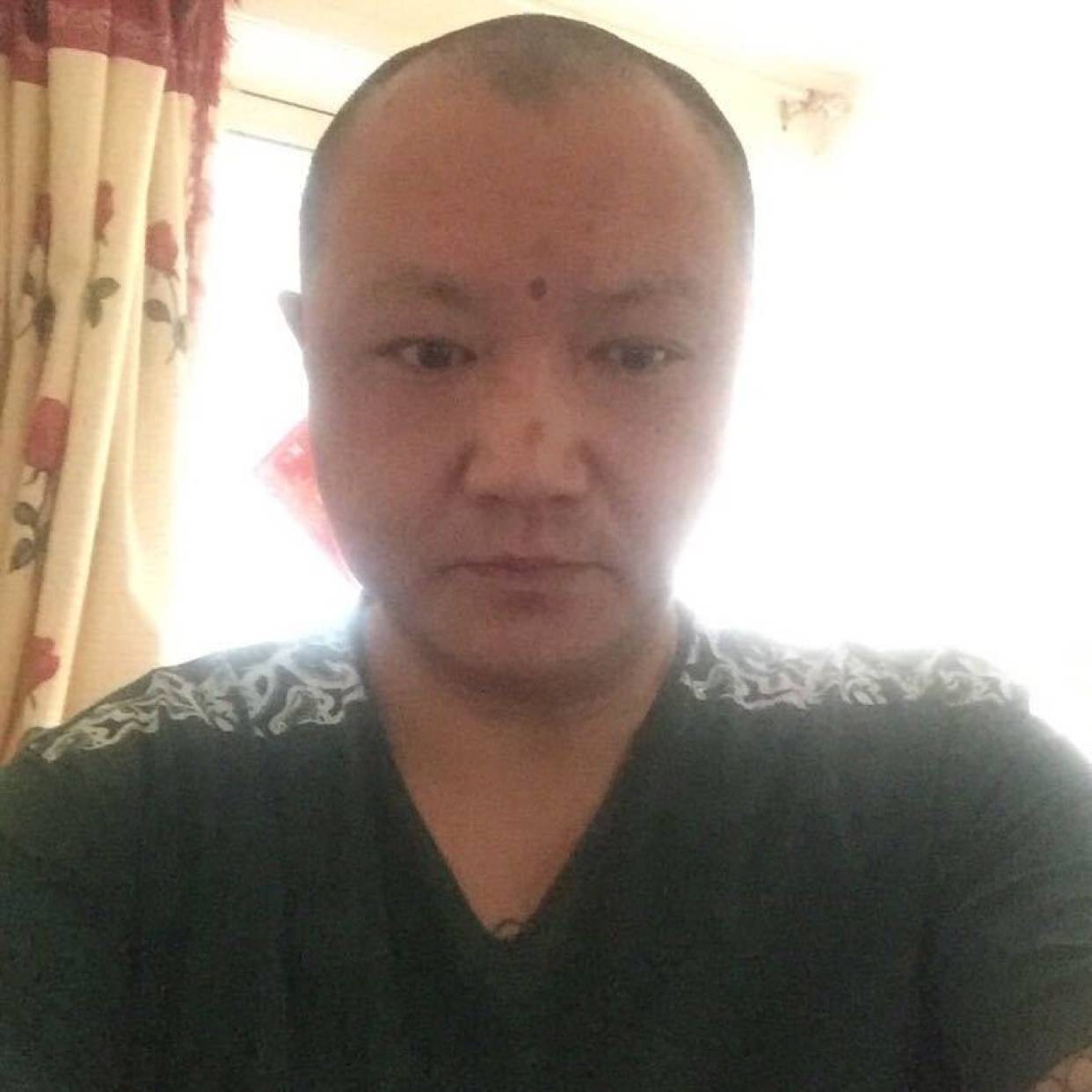 羊刻苦的照片