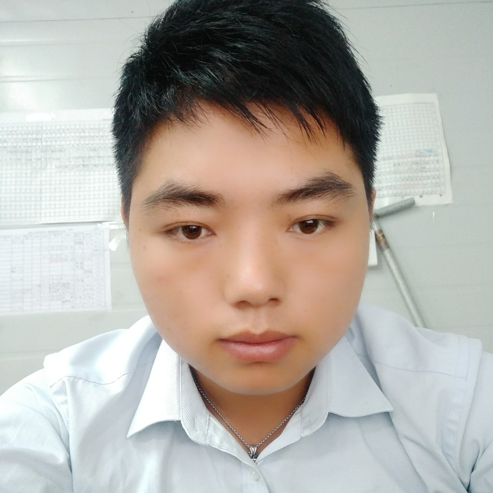 秋天  落叶的照片