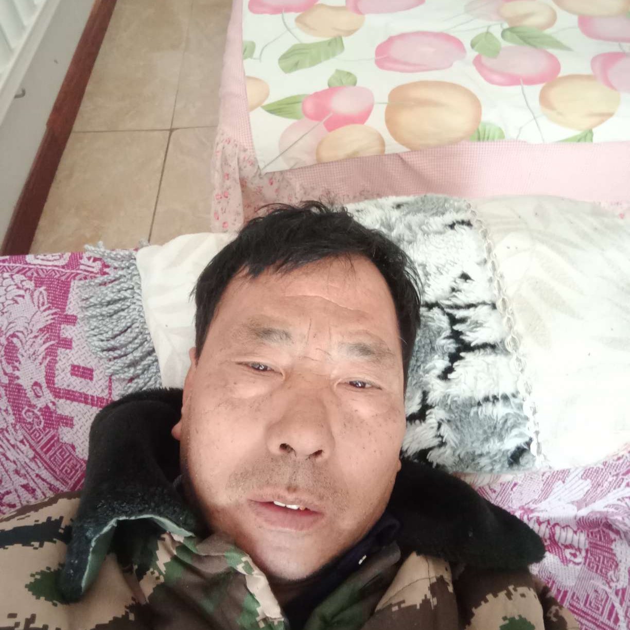 认真闻鸵鸟的照片