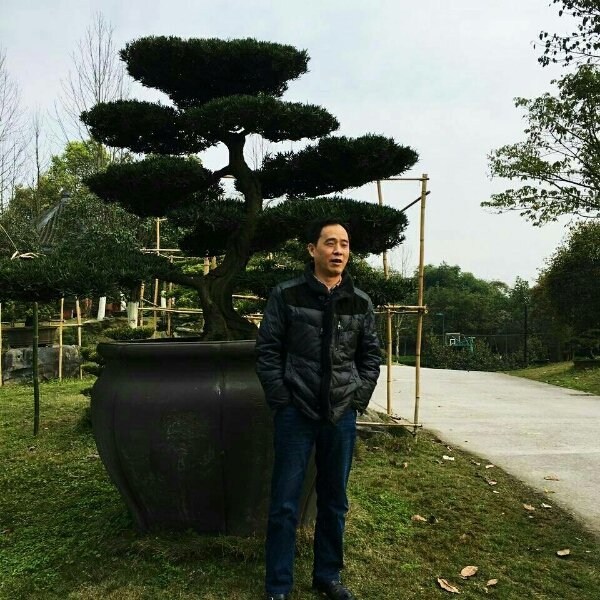 会员084927393的照片