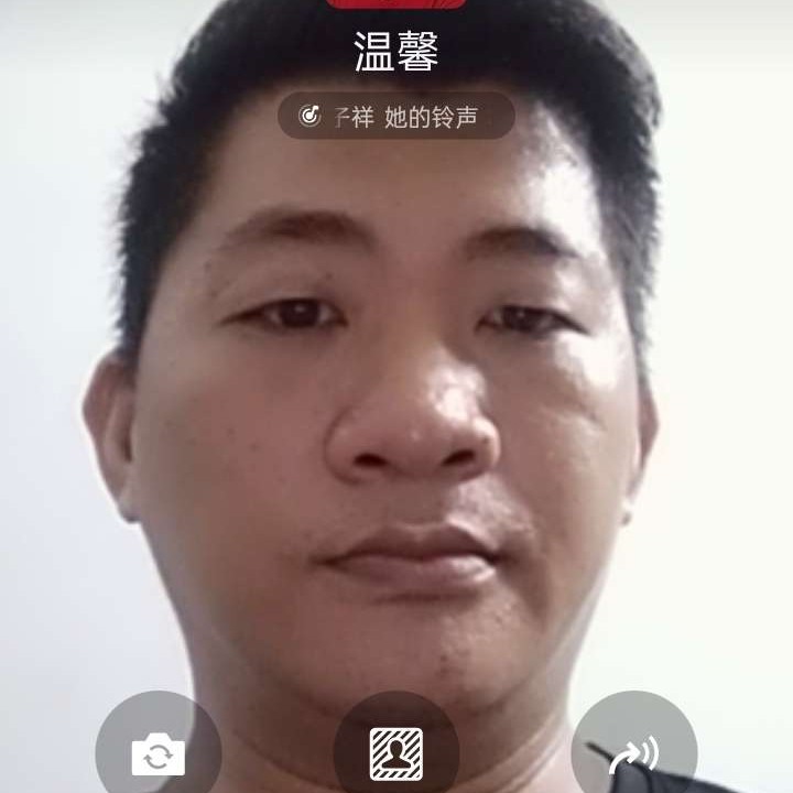 单身爱恋斑马的照片