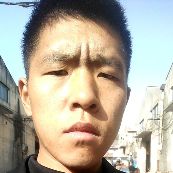 海燕生动的照片