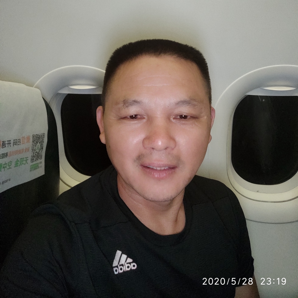 尊敬的白猫的照片