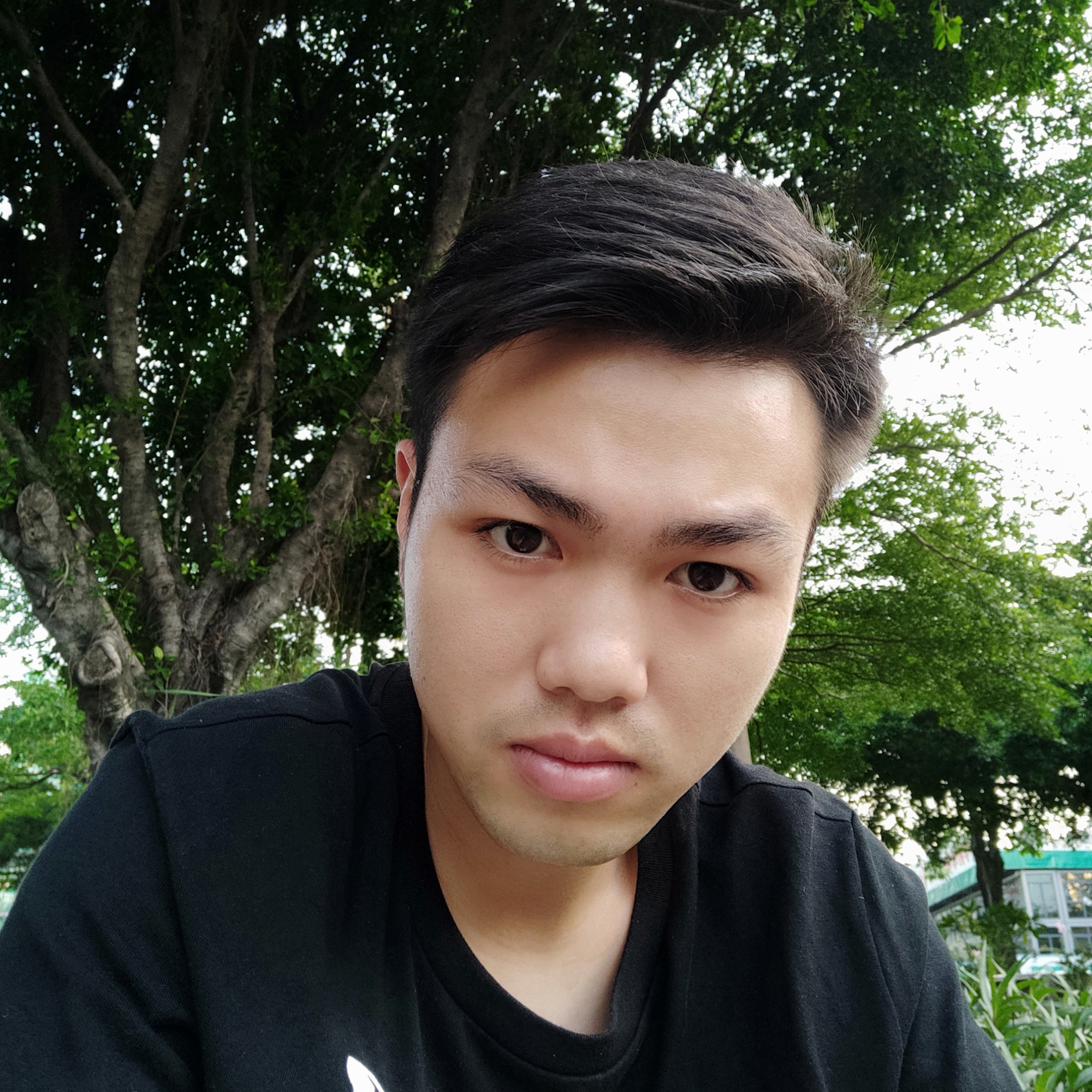 向心岛的照片